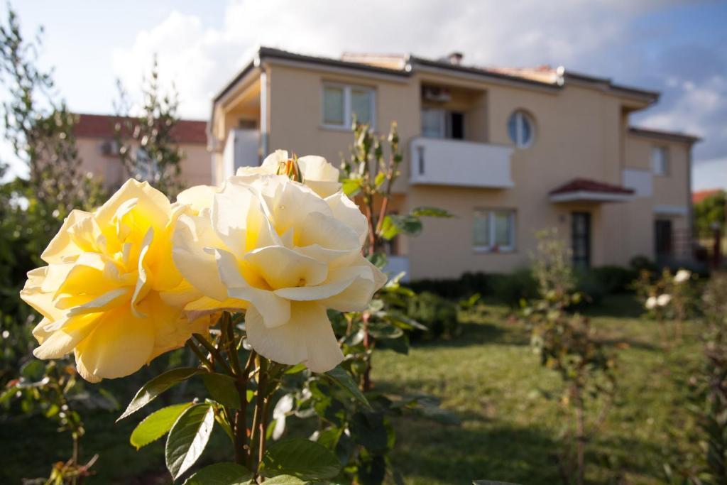 Apartments Emma Биоград-на-Мору Экстерьер фото