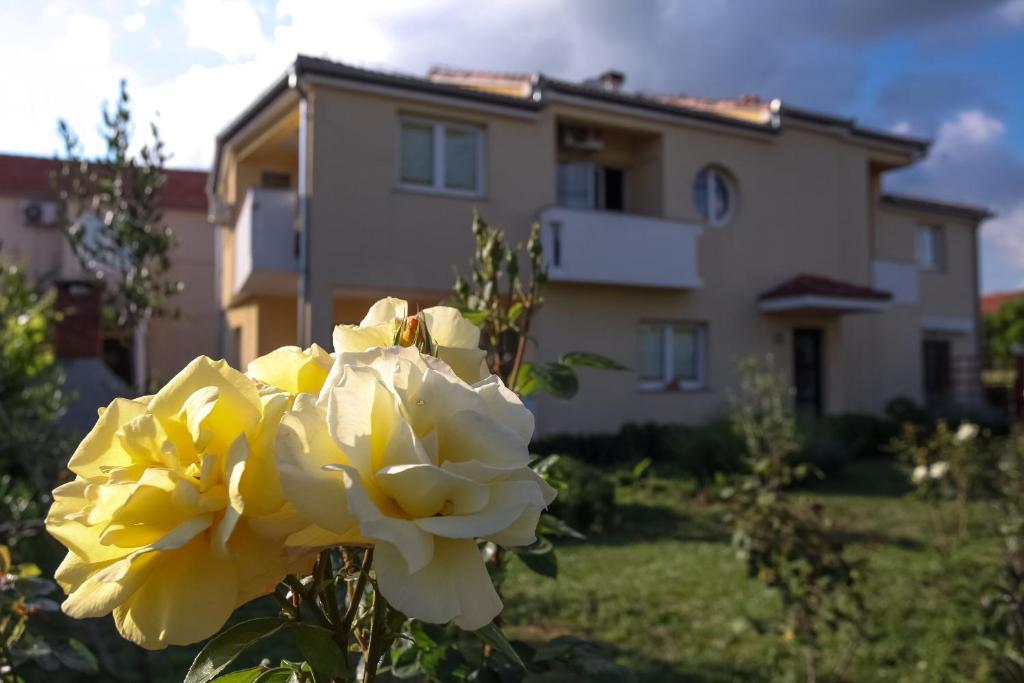 Apartments Emma Биоград-на-Мору Экстерьер фото